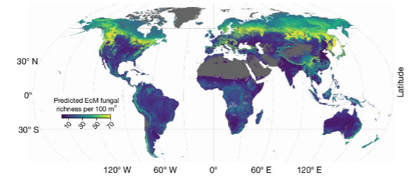 <p>society for the protection of underground networks</p><p><span style="font-size: calc(var(--scale-factor)*28.11px);">A global effort to map the planet’s fungi and advocate for their protection</span></p>