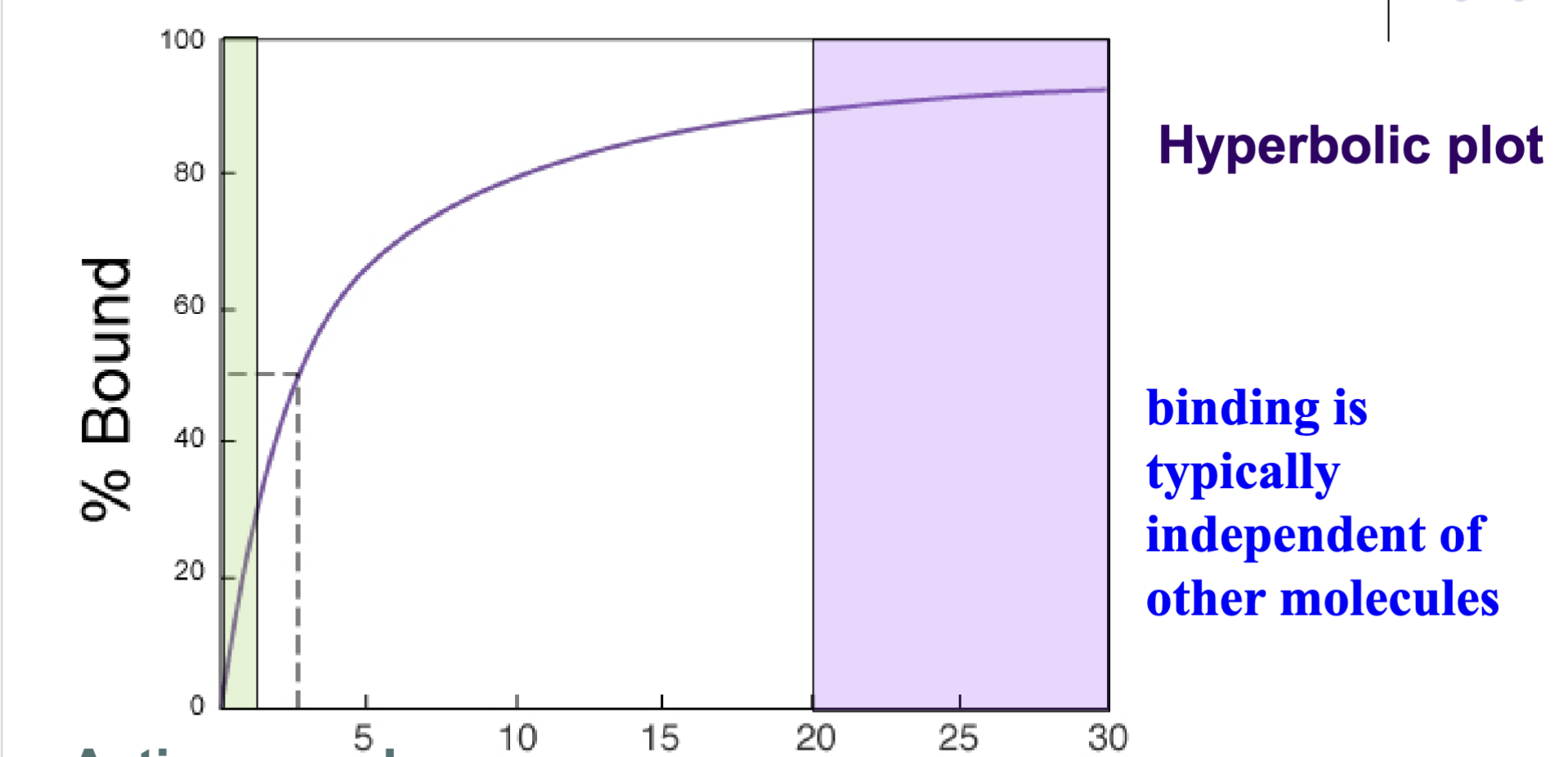 <p>Hyperbolic plot with one line: binding is independent of other molecules, high affinity but reversible.</p><p>Start of the plot: active muscle (low oxygen due to being used. Myoglobin is offloading it to the muscle → low binding). End of the plot: resting muscle (relatively higher oxygen due to lack of usage. Myoglobin is loading oxygen → high binding)</p>