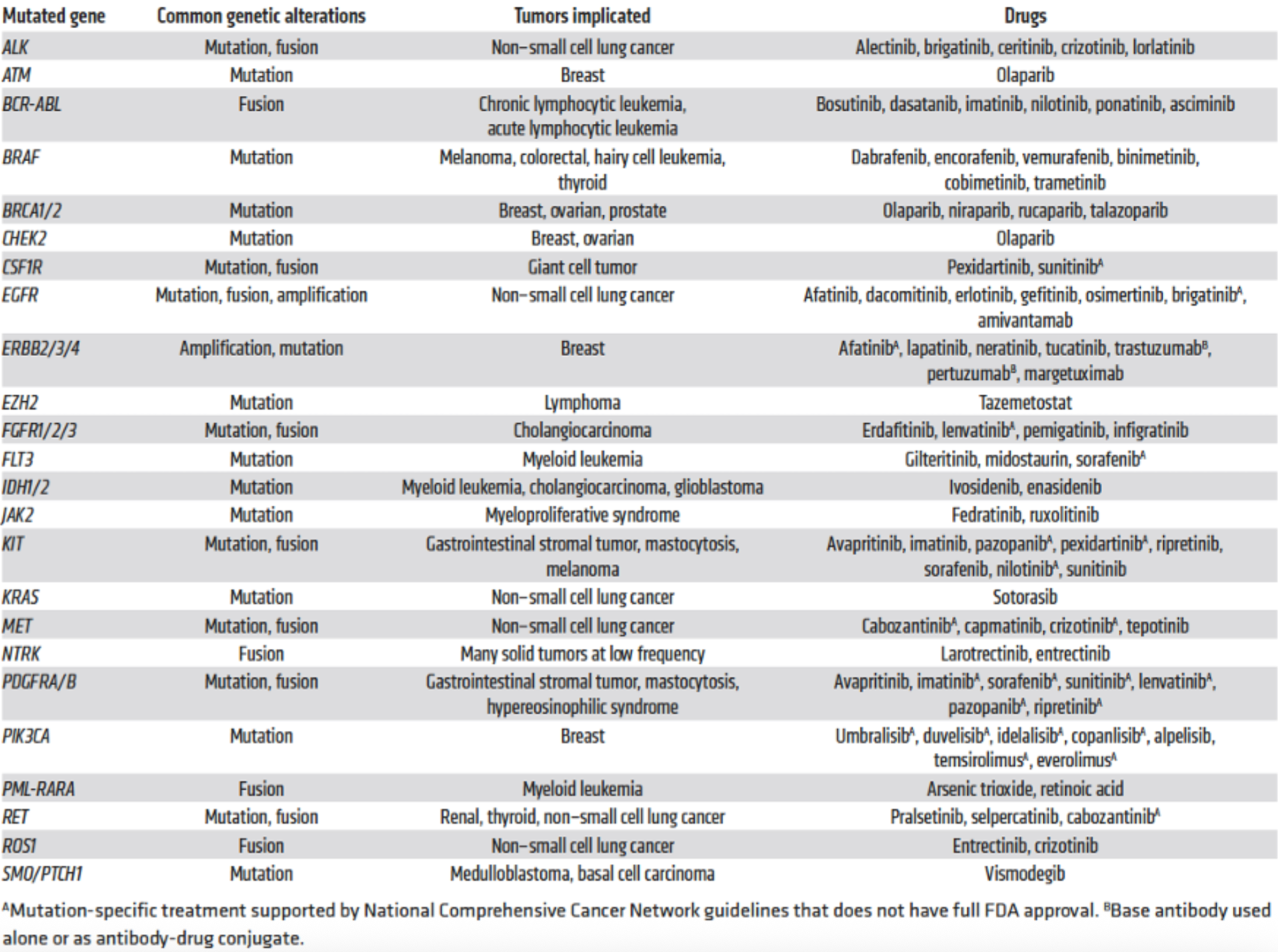 <p>TP53 Y220C LOF mutation present in 100,000 patients annually.</p><p>Stabilised by Rezatapopt, which is now in clinical trials.</p><p></p><p>THIS SECTION ALSO TALKS ABOUT IMMUNOTHERAPY, LINKS TO TMB AND PD-L1 EXPRESSION PROMOTING RESPONSE</p>