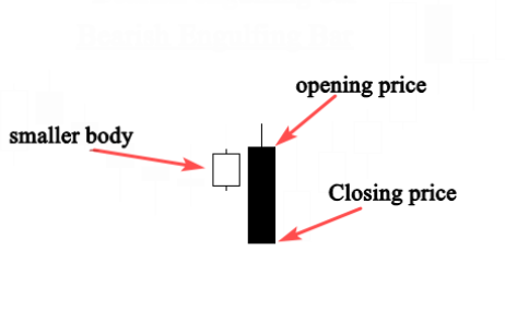 <p>Bearish Engulfing Bar</p>