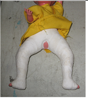 <p></p>