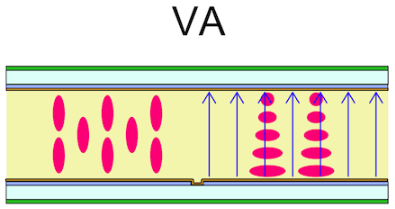 <p>Crystals turn vertical when voltage applied, Good compromise between TN and IPS</p><p>Pro: Good color representation, best contrast ratio</p><p>Con: Slower response time than TN</p>