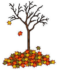 <p>Me gusta el otoño.</p>