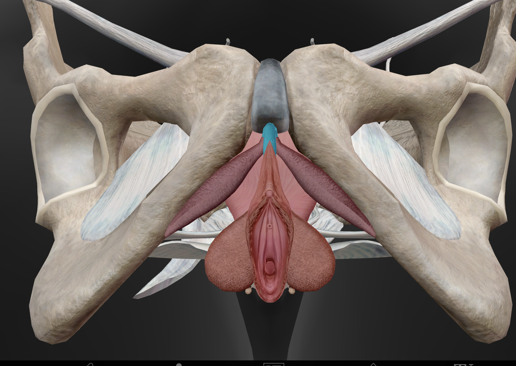 knowt flashcard image