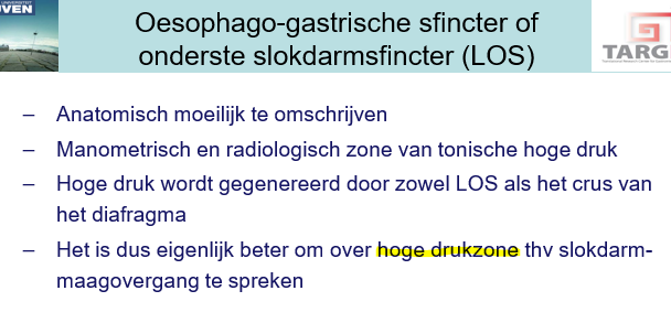 <p><span>Zone van hoge druk.</span></p><p style="text-align: left;"></p><p style="text-align: left;"><span>———</span></p><p style="text-align: left;"><span>Geen duidelijke spier errond zoals de m. Cricopharyngeus.</span></p><p style="text-align: left;"></p><p style="text-align: left;"><span>Is wel een zone waarbij de spier verdikt en waarbij crus van diafragma speelt mee bij druk.</span></p><p style="text-align: left;"></p><p style="text-align: left;"><span>De hoge druk is dus een combo van de LOS waarbij een tonische activiteit aanwezig is, maar ook de druk die veroorzaakt wordt door spieren van diaphragma (crus).</span></p>