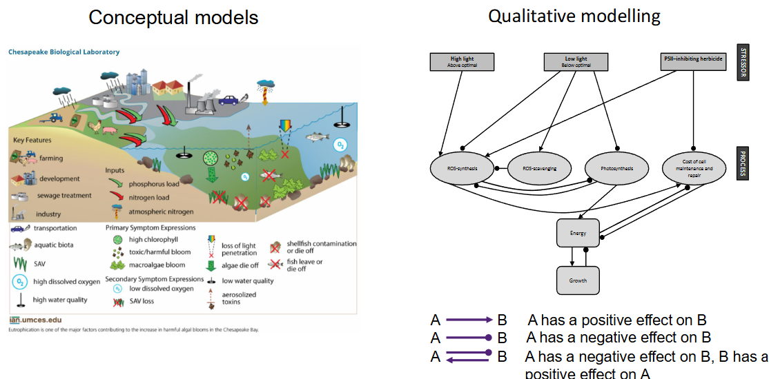 <ul><li><p>Conceptual models </p></li><li><p>Qualitative models</p></li></ul><p></p>