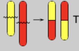 <p>What is this?</p>