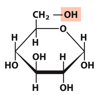 <p>What is this structure?</p>