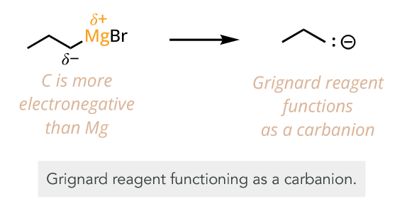 <p>carboanion (very strong nucleophile)</p>