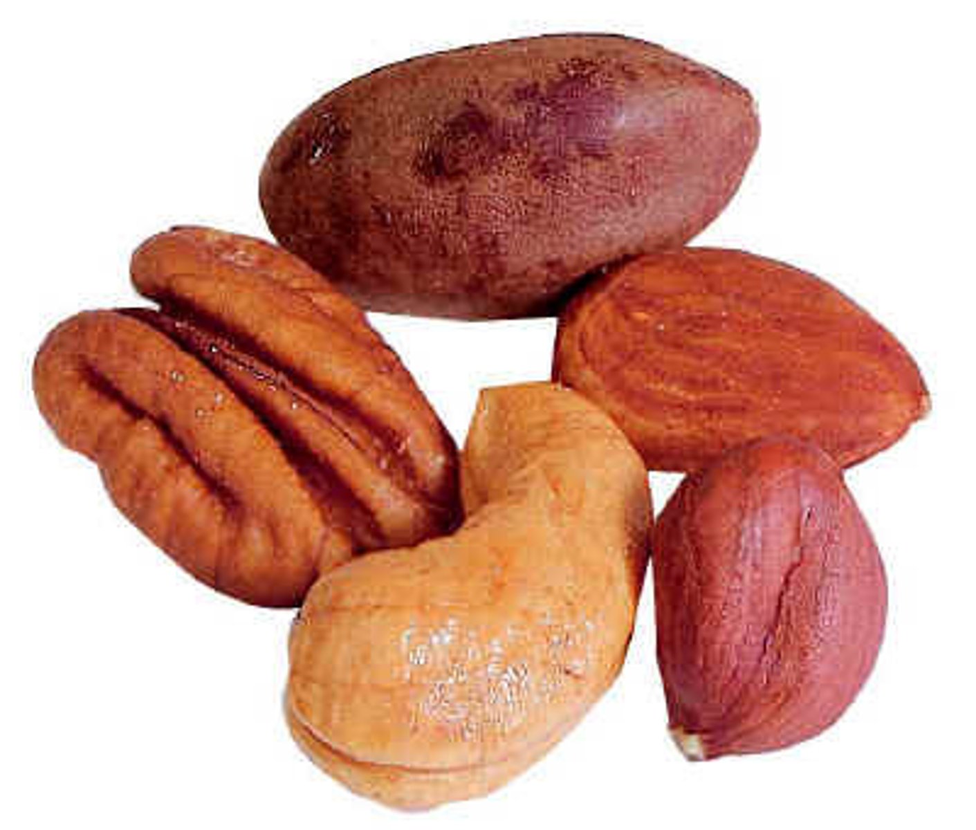 <p>n. /nʌt/ quả hạch; đầu</p>