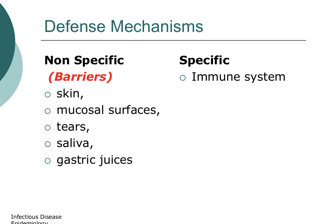 <p></p><ul><li><p><span style="background-color: transparent; font-family: "Times New Roman", serif;">An acute diarrheal illness</span></p></li><li><p><span style="background-color: transparent; font-family: "Times New Roman", serif;">Caused by infection of the intestine with vibrio cholerae bacteria</span></p></li><li><p><span style="background-color: transparent; font-family: "Times New Roman", serif;">Ppl can get sick when they swallow food or water contaminated with cholera bacteria, especially when travelling (Haiti)</span></p></li><li><p><span style="background-color: transparent; font-family: "Times New Roman", serif;">The infection is often mild or without symptoms, but can sometimes be severe and life-threatening&nbsp;</span></p></li><li><p><span style="background-color: transparent; font-family: "Times New Roman", serif;">Host</span></p><ul><li><p><span style="background-color: transparent; font-family: "Times New Roman", serif;">Once an angent infects the host, the degree and severity of the infection will depend on the host’s ability to fight off the infectious agent</span></p></li><li><p><span style="background-color: transparent; font-family: "Times New Roman", serif;">Ex of a host is a human</span></p></li></ul></li><li><p><span style="background-color: transparent; font-family: "Times New Roman", serif;">Host defense mechanisms</span></p><ul><li><p><span style="background-color: transparent; font-family: "Times New Roman", serif;">Nonspecific<u> (barriers)</u>: skin (protects against lots of things nothing specific), mucosal surfaces, tears, salvia, gastric juices</span></p></li><li><p><span style="background-color: transparent; font-family: "Times New Roman", serif;">Specific: immune system, ex: T-cells focus on specific microorganisms</span></p></li></ul></li></ul><p></p>