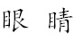 term image