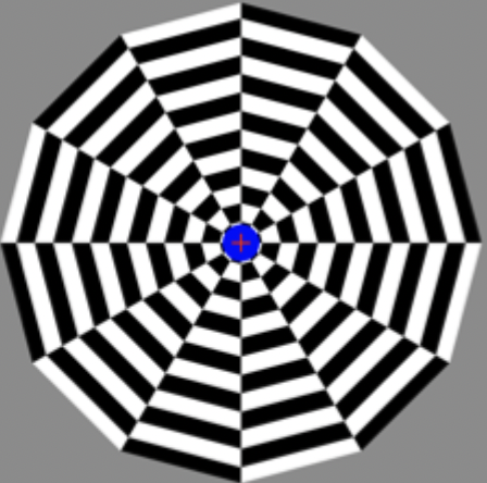 <ul><li><p>Star at blue dot in middle of screen, motion is going inward. Then shown photo of stationary Buddha but it looks like its moving outward to you. Looks like it is expanding</p></li><li><p>Motion is in opposite direction of what you adapted to. </p></li><li><p>Looking at something stationary but moving</p></li><li><p>Motion directly measured & NOT inferred from position change. </p></li><li><p>Adapting to motion & seeing something opposite of what you adapted to. <span>Looking at something stationary yet perceiving movement. This suggests motion really cannot be inferred from position change because I have something that isn't moving at all, there is no physical position change happening with the Buddha & yet you are seeing movement</span></p><ul><li><p><span>NOT inferred from position change but motion is directly measured</span></p></li><li><p><span>No physical movement but seeing movement.</span></p></li></ul></li></ul><p></p>