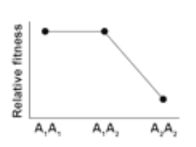 <p>W<sub>11</sub>=W<sub>12</sub>> W<sub>22</sub></p>