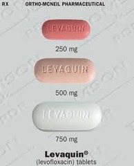 <p>Levofloxacin </p><p>Fluoroquinolone Antibiotic </p><p>Bacterial Infection</p>