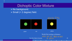 <p>How to create a dichoptic color mixture?</p>