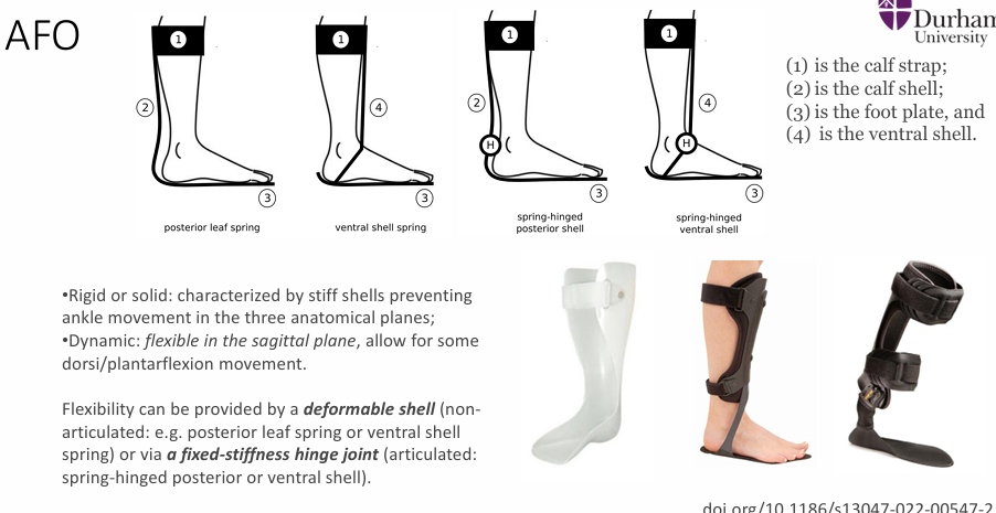 <p>flexible in the sagittal plane, allow for some dorsi/plantarflexion movement</p>