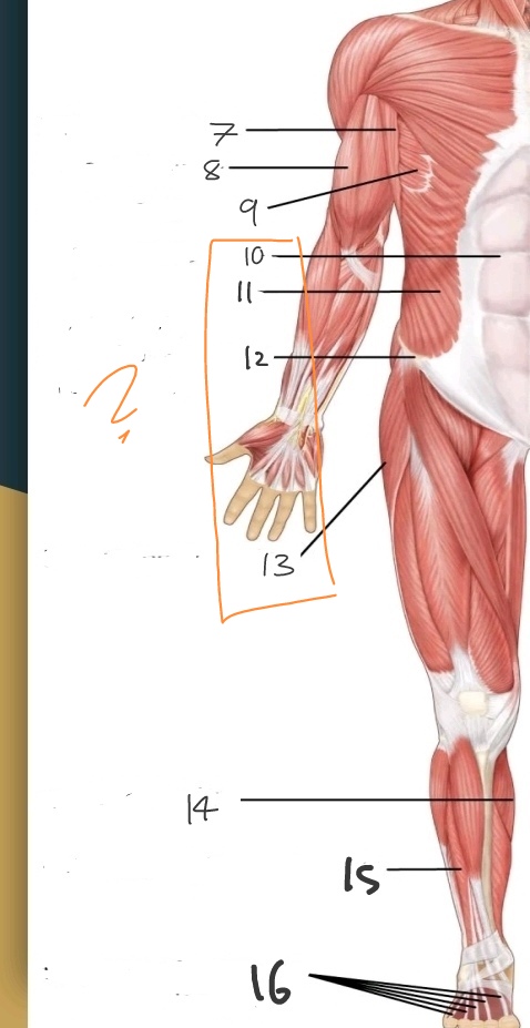 <p>What is No. 10-13?</p>