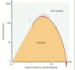 <p>True or False: With very low spatial frequencies (like 0.5 cpd) it is harder to measure human contrast sensitivity functions.</p>