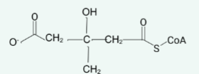 <p>name the structure</p>