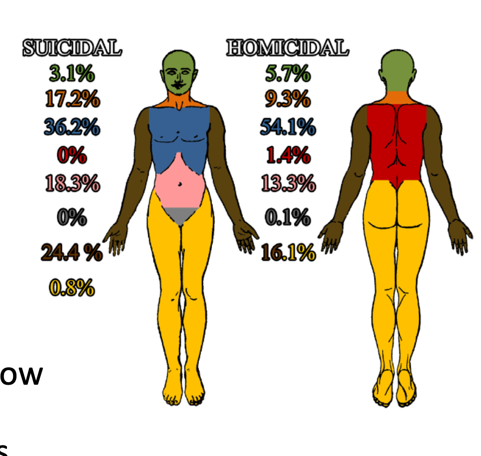 <p>The <strong>pattern and location of incised wounds</strong> can provide clues about the <strong>manner of death</strong>.</p><p class="isSelectedEnd"><strong>Suicide:</strong></p><ul><li><p>Wounds often located in <strong>areas suggesting a fatal outcome</strong></p></li><li><p>Common sites: <strong>wrists, neck, knee, ankle joint, chest, arm</strong></p></li></ul><p class="isSelectedEnd"><strong>Homicide:</strong></p><ul><li><p>Wounds typically found in <strong>areas accessible to the offender</strong></p></li><li><p>Common sites: <strong>face, neck, trunk, back</strong></p></li></ul><p class="isSelectedEnd"><strong>Forensic significance:</strong></p><ul><li><p>Injury placement helps guide <strong>lines of enquiry in investigations</strong> and support interpretation of <strong>suicide vs homicide</strong>.</p></li><li><p>Evidence supported by a review of <strong>3000+ cases (De-Giorgio et al., 2015)</strong>.</p></li></ul><p></p>