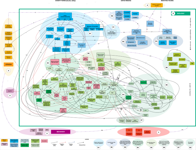 <p>CENTRAL Nervous system Flow Diagram</p><p></p>