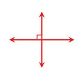 <p>two lines of segments that form a right angle</p>