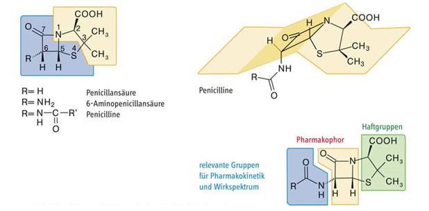 <p>Penicilline: Struktur und Strukturelemente</p>
