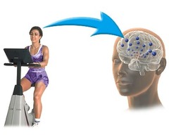 <p>a mental exercise (np)</p>