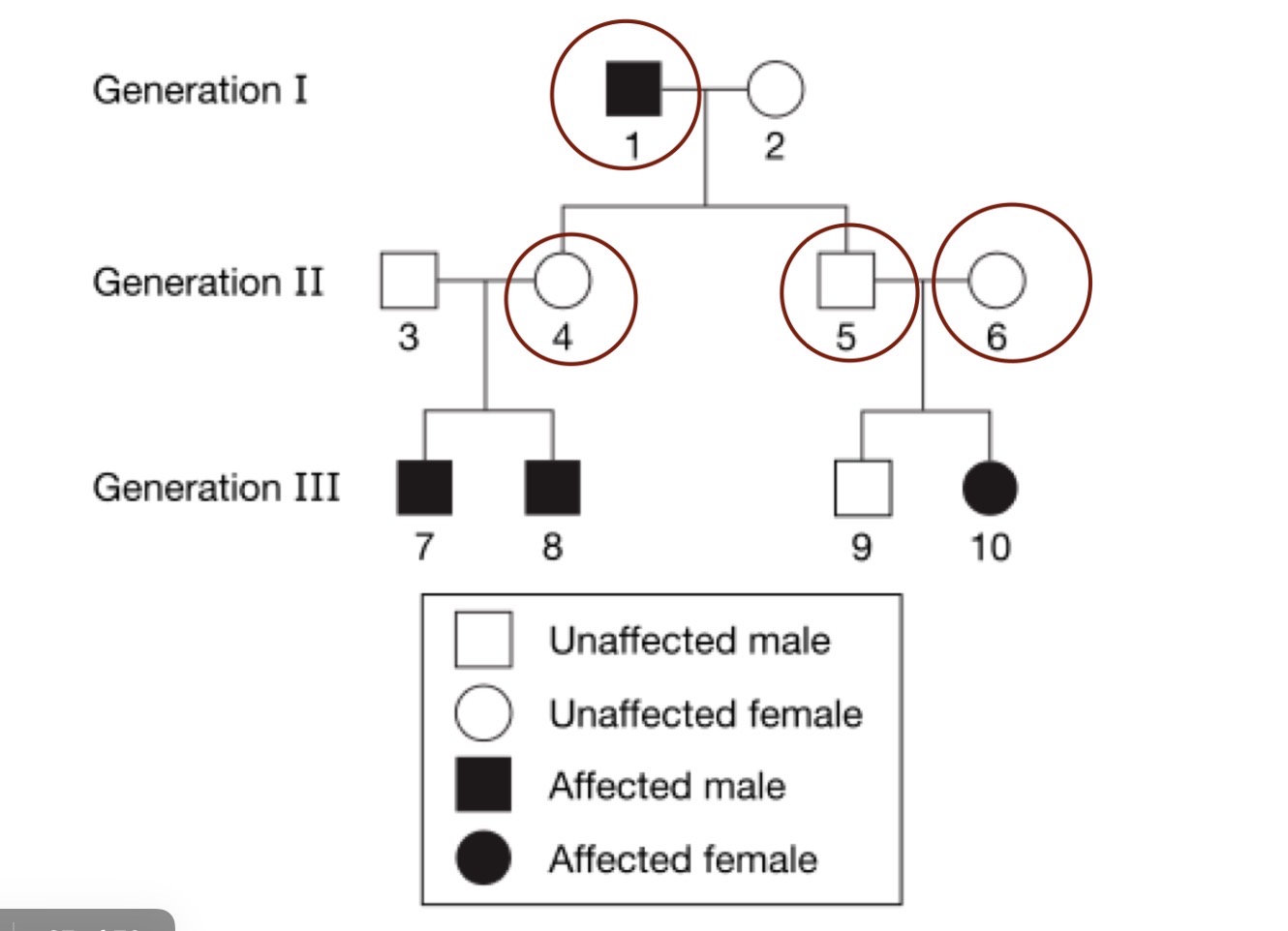 <p>The teacher suggested that the students revise their model to represent individuals who have a heterozygous genotype and are therefore carriers for the disease. Circle the FOUR individuals in the following pedigree that the students know for certain are heterozygous</p>