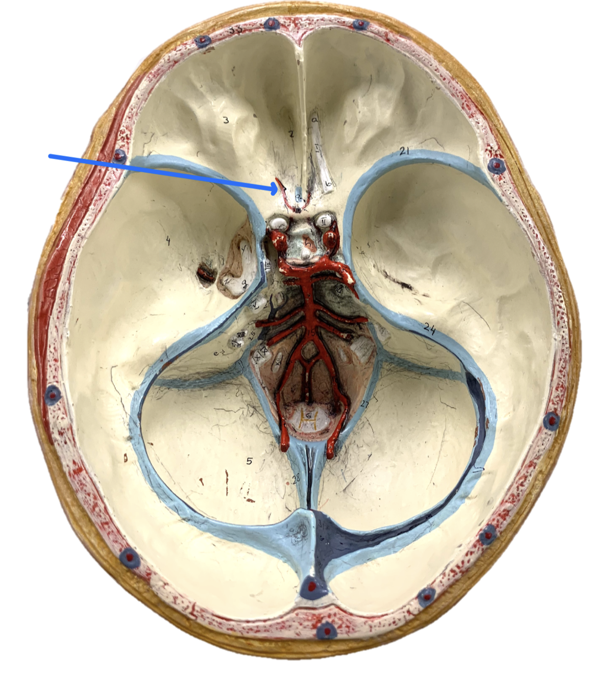 knowt flashcard image
