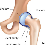 <p>What is this joint?</p>