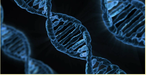 <p>Biological (a)</p>