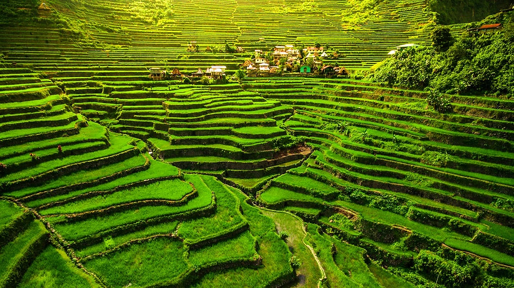 <p>A Philippine cultural landscape that inspired Mañosa's architectural motifs.</p>