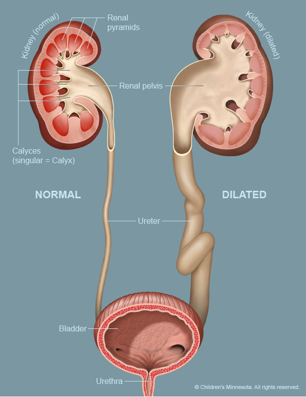 <p>11 weeks with endovaginal imaging and by 12 weeks with transabdominal imaging</p>