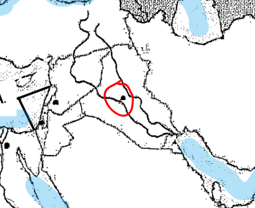term image