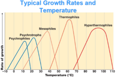 <p>Optimum 50-80 °C</p>