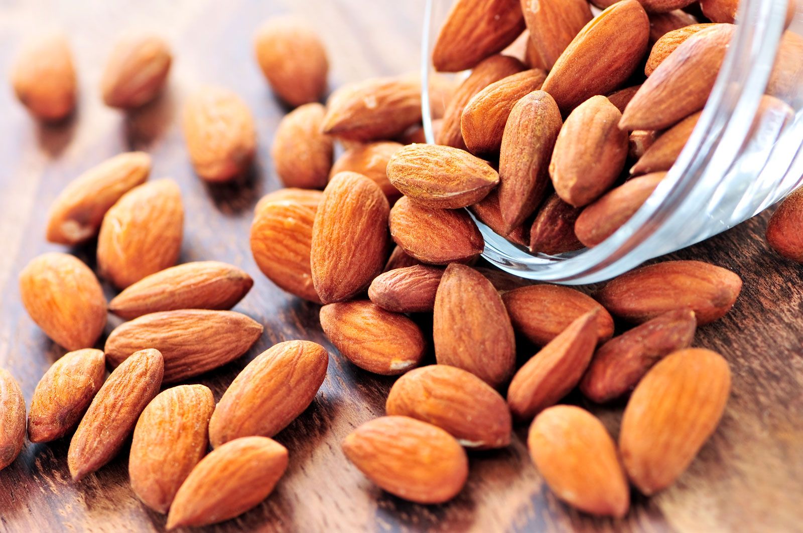<p>Almond <span>/ˈɑːmənd/</span></p>