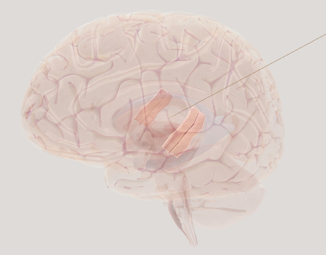 <p>(it’s deep)</p>