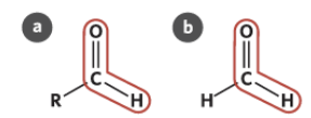 <p><span style="background-color: inherit; line-height: 20.7px; color: windowtext;"><strong>Aldehyde </strong>organic compound that contains a carbonyl functional group where one of the remaining bonds on the carbon atom in the carbonyl group is bonded to a hydrogen atom (−CHO) </span></p><p><span style="background-color: inherit; line-height: 20.7px; color: windowtext;">-->&nbsp; False. The carbonyl group is only on the terminal carbon</span><span style="line-height: 20.7px; color: windowtext;">&nbsp;</span></p><ul><li><p class="Paragraph SCXO132537765 BCX0" style="text-align: left;"><span style="background-color: inherit; line-height: 20.7px; color: windowtext;">The remaining bond on the carbon atom in the carbonyl group can then bond with either a hydrogen atom or an alkyl group</span><span style="line-height: 20.7px; color: windowtext;">&nbsp;</span></p></li></ul><p class="Paragraph SCXO132537765 BCX0" style="text-align: left;"></p>