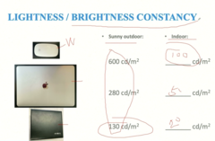 <p>phenomenon that shows how the same object under different illumination conditions is still perceived as the same object</p>