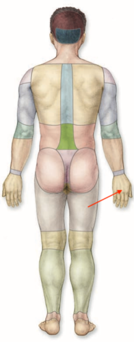 <p>what is this section called?</p>