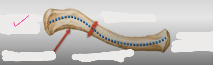 <p>What’s this? </p>