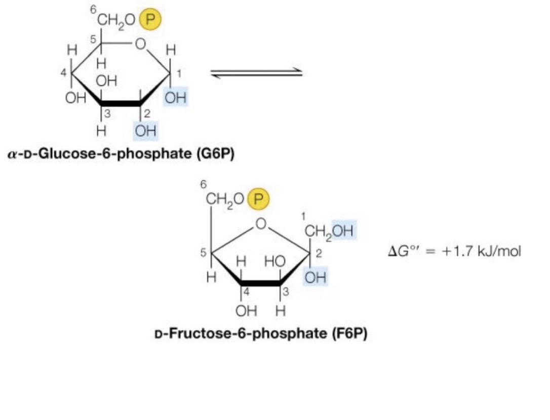<p>What reaction number is this?</p>