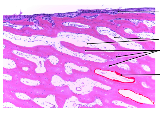 <p>what does the 4th arrow point to </p>
