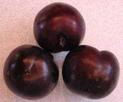 <p>plum</p>