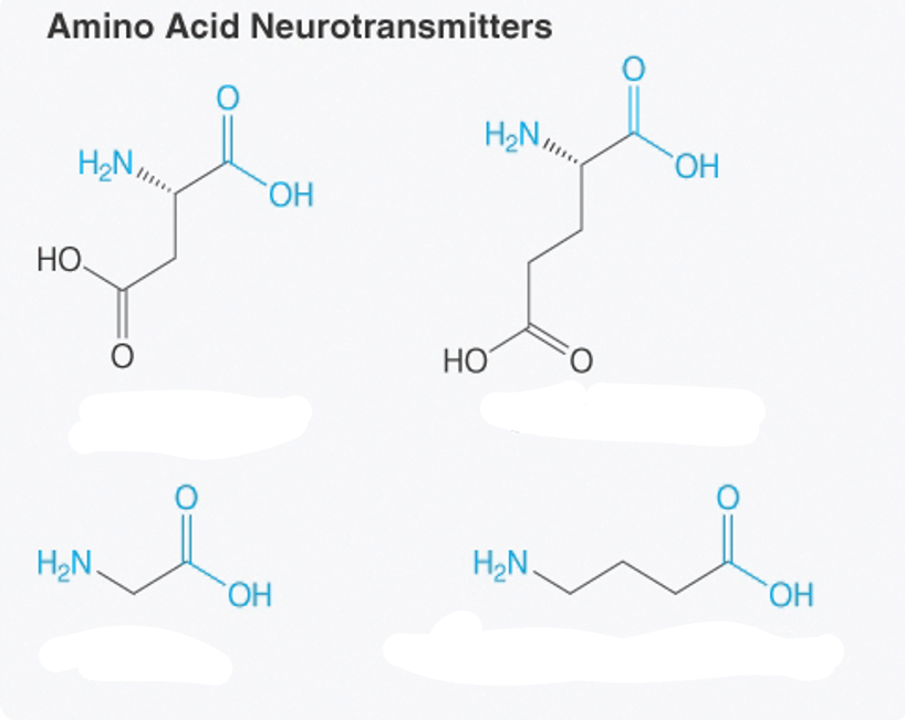 <p>What are the amino acid neurotransmitters?</p>