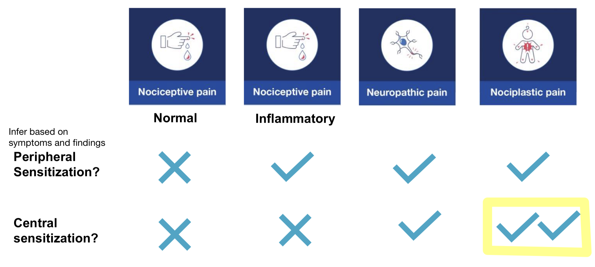 <p>Inflammatory pain: PS > due to inflammatory mediators </p><ul><li><p>Short term </p></li></ul><p>Neuropathic pain > PS + CS > due to nerve damage </p><p>Nociplastic pain > PS + CS </p><ul><li><p>Long term lasting changes </p></li></ul><p></p>
