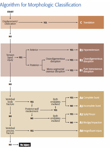 <p>→ Displacement/dislocation </p><p>→ Tension band injury </p><p>→ Vertebral body fracture </p><p>→ Vertebral process fracture</p>
