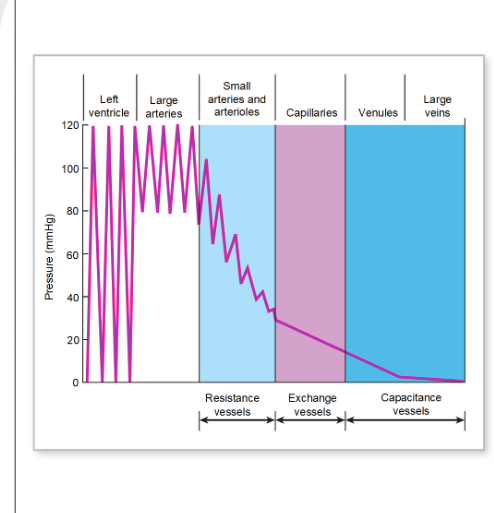 <p>What are the pressure and resistance levels in the pulmonary circuit?<br></p>